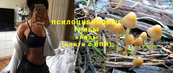 мдма Ладушкин