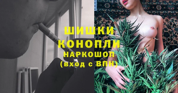ECSTASY Лагань
