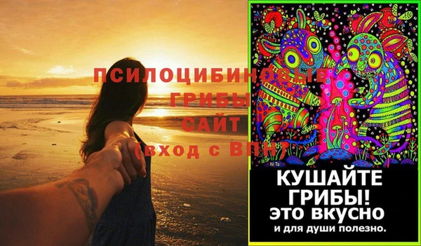 мдма Ладушкин