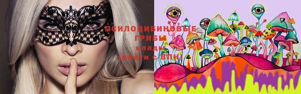 ешки Лабытнанги