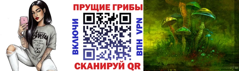 Псилоцибиновые грибы мицелий  ссылка на мегу ссылка  Луга 